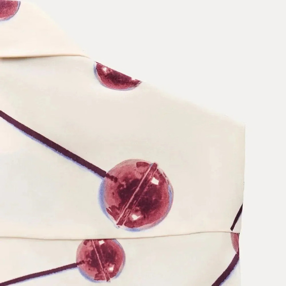 ZARA PRINTED POPLIN SHIRTDRESS ZW COLLECTION - Picture 12 of 13